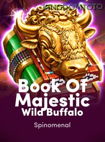 Book Of Majestic Wild Buffalo game cover