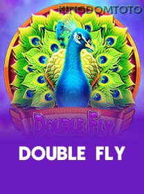 Double Fly game cover