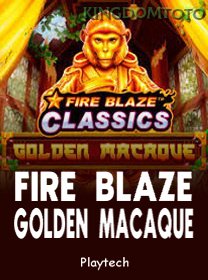 Fire Blaze Golden Macaque game cover