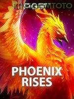 Phoenix Rises game cover