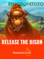 Release The Bison game cover